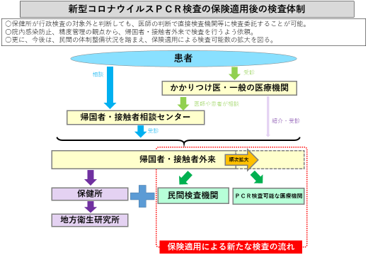 検査 pcr